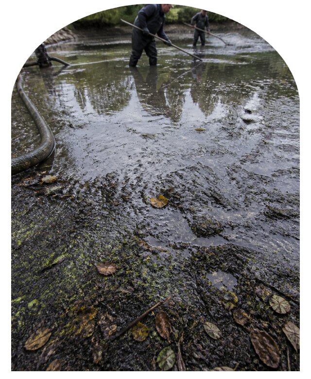 Очистка пруда в Озёрске от ила мусора и водорослей с вывозом